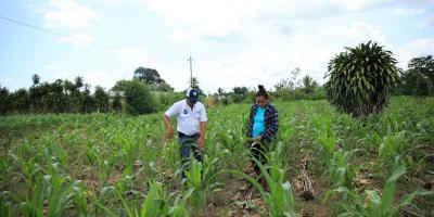 La importancia de contar con el Seguro Agropecuario