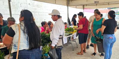 Las Cruces y San Benito son anfitriones de la Feria del Agricultor