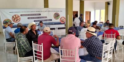 Prevención en acción: instrucciones son claves para evitar el ingreso del gusano barrenador 