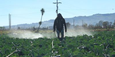 Prevenga sus cultivos de las bajas temperaturas