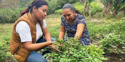 Se brinda asistencia técnica a productores de Poptún