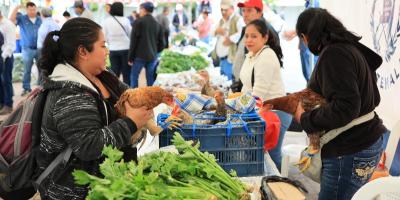 Estas son las próximas fechas de la Feria del Agricultor