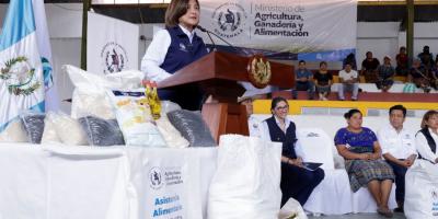 Vicepresidenta Karin Herrera