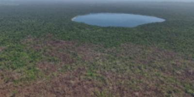 incendios forestales