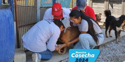 Compromiso con la protección y bienestar de los animales