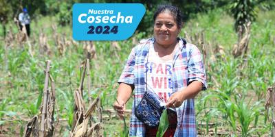 El Seguro Agropecuario respalda la producción de las y los agricultores