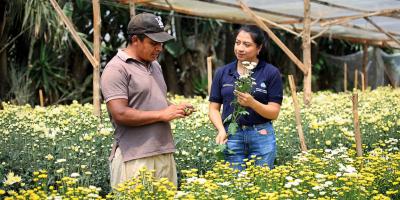 Los extensionistas son los aliados de los agricultores 