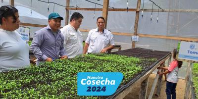 Producción de pilones se incrementa con la inauguración del séptimo invernadero hortícola