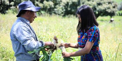 Una hortaliza para una dieta equilibrada
