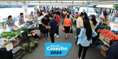 La mesa de los guatemaltecos se llenó de productos frescos gracias a la Feria del Agricultor 