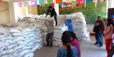 Agricultores familiares de Panajachel, Comitancillo y Camotán reciben Bono Campesino