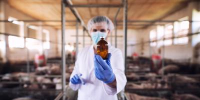 Conozca acerca de la fitozoogenética y la germoplasma