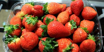 Conozca los alimentos para mejorar su salud