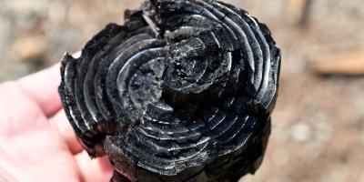 Conozca qué es el biochar