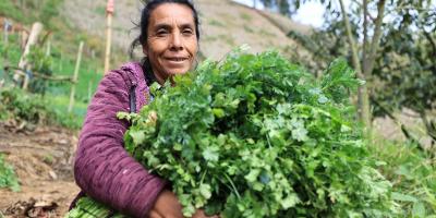 Crédito Tob’anik contará con seguro agrícola