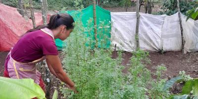 Disponibles capacitaciones para acceder al programa Alimentos por Acciones