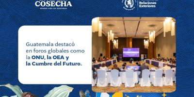 comunicado del Minex