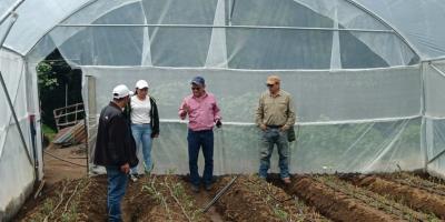 Tecnifican procesos de floricultores de San Marcos