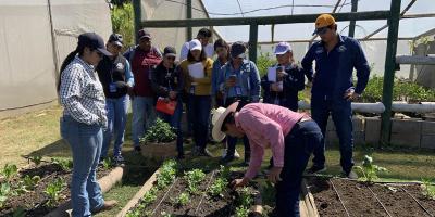 Proyecto "Huerto en el Hogar" iniciará en Escuintla 