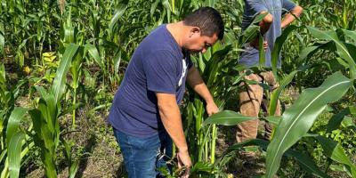 Se brinda asistencia técnica y seguimiento a Sistemas Silvopastoriles en Petén