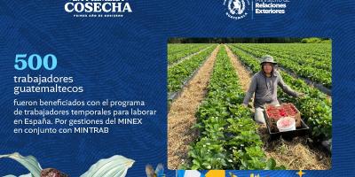 comunicado del Minex