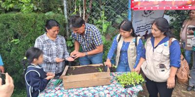 Un reto para las familias guatemaltecas: iniciar 2025 con un huerto familiar