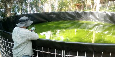 Asistencia técnica permite optimizar la producción acuícola