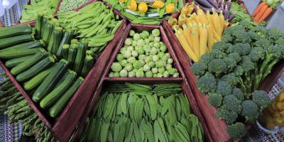 Conozca los alimentos protectores