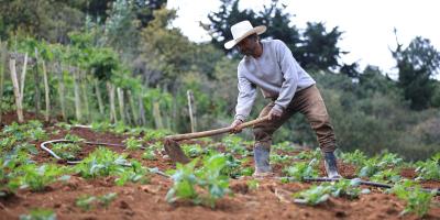 Crédito Tob’anik será un impulso para la producción agrícola