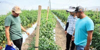 Horticultores de oriente adquieren nuevos conocimientos tecnológicos
