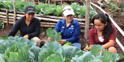Huertos comunitarios, una semilla de bienestar para las familias guatemaltecas