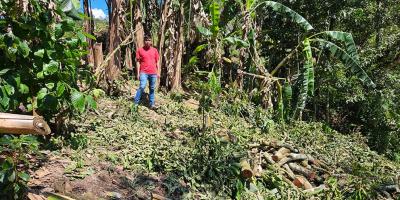 Impulso a la agricultura familiar con la creación de huertos en Camotán