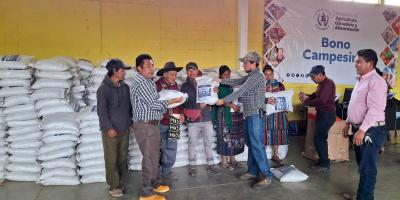 Impulso al uso de semillas nativas criollas para fortalecer la agricultura familiar