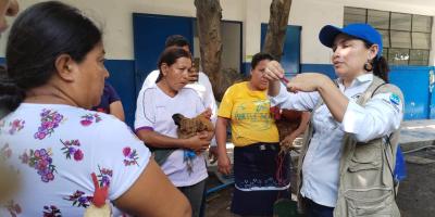 Mujeres de Masagua se capacitan en medicina preventiva en aves de traspatio