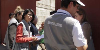 Se atiende de forma inmediata caso de perro maltratado en Mixco