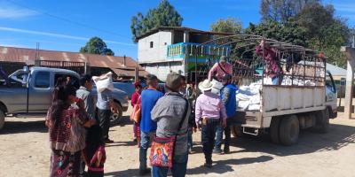 Semillas nativas criollas llegan a productores gracias al Bono Campesino