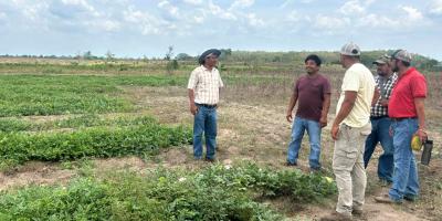 Brindan asistencia técnica a productores del PAE para mejorar cultivos