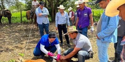 Capacitan a ganaderos en combate al Gusano Barrenador del Ganado