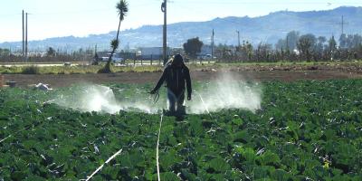 Emitidos más de 1600 Permisos de Importación de Insumos Agrícolas