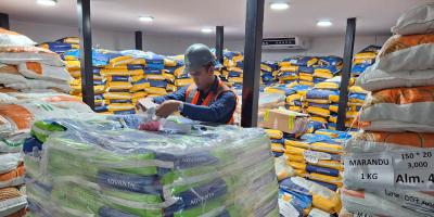 Exportación de semillas ingresan Q78 millones a la economía del país