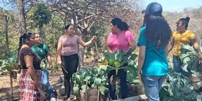 La Agricultura Familiar es clave para el acceso a los alimentos y la economía rural