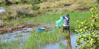 La pesca artesanal en las áreas de reserva territoriales del Estado desarrolla la economía local