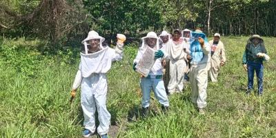 Productores fortalecidos en Buenas Prácticas Apícolas