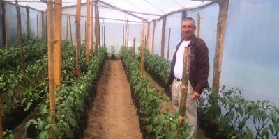 Reactivación y modernización de la actividad agropecuaria claves para el desarrollo