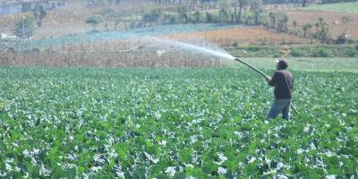 ¿Qué debe hacer el sector agrícola ante las altas temperaturas?