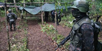 Ejército de Guatemala erradicó 318 mil arbustos de coca en Alta Verapaz.
