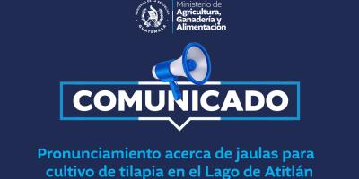 Comunicado 3-2025 | Pronunciamiento acerca de jaulas para cultivo de tilapia en el Lago de Atitlán