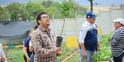 Coseche la fruta de su propio árbol