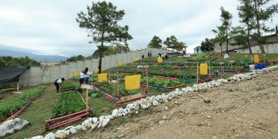 Estrategia AGROVIDA fortalecerá el desarrollo comunitario