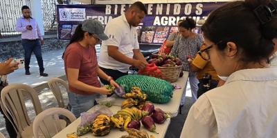 Feria del Agricultor dinamiza la economía de los hogares de Sanarate